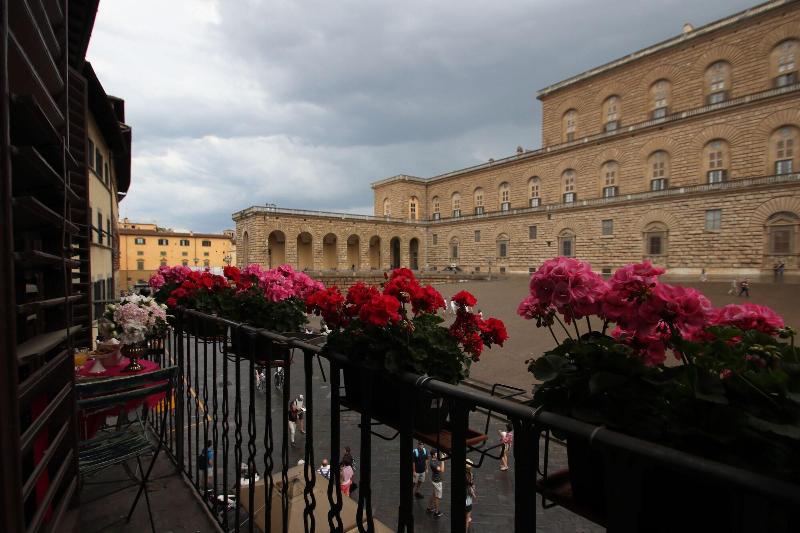 Piazza Pitti Palace - Genel