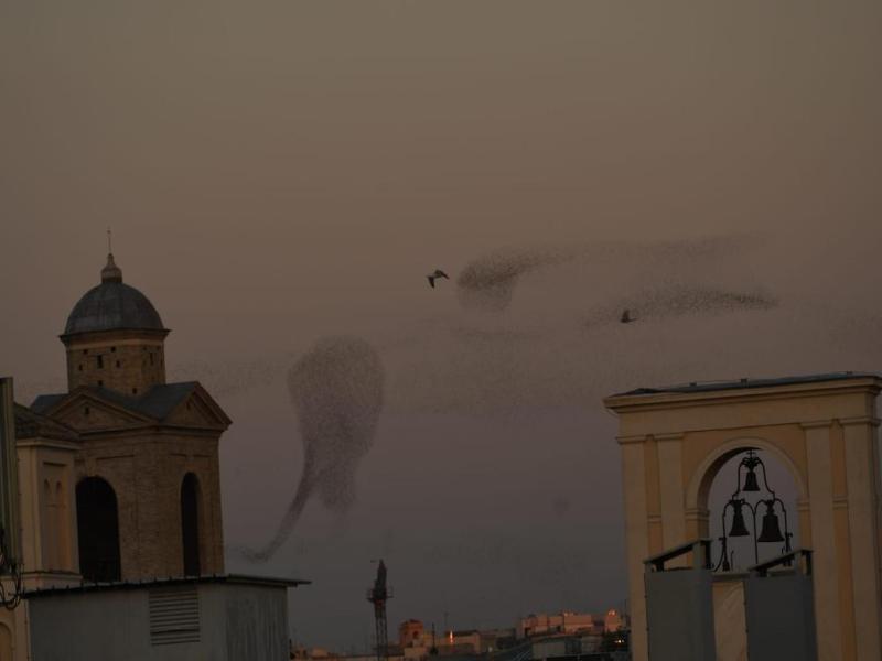 Relais Arco Della Pace - Genel