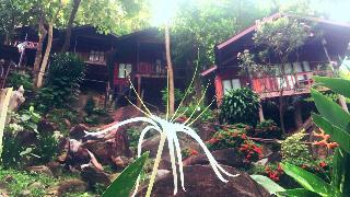 Phi Phi Green Hill Resort fotoÄŸrafÄ±
