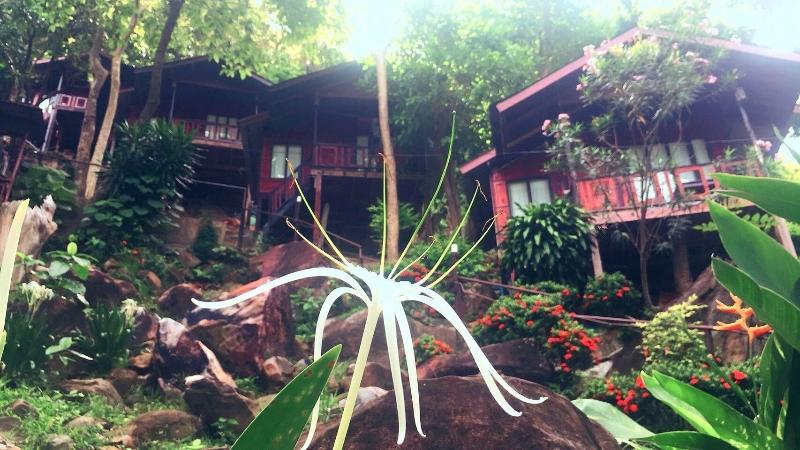 Phi Phi Green Hill Resort - Genel