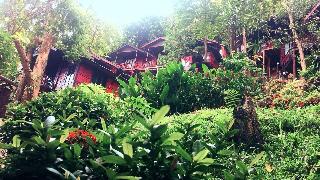 Phi Phi Green Hill Resort fotoÄŸrafÄ±
