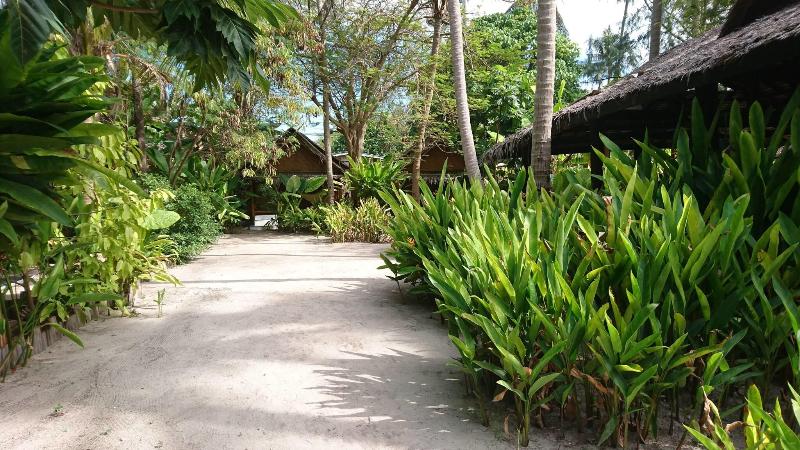 Forra Diving Resort - Sunrise Beach - Koh Lipe - Genel