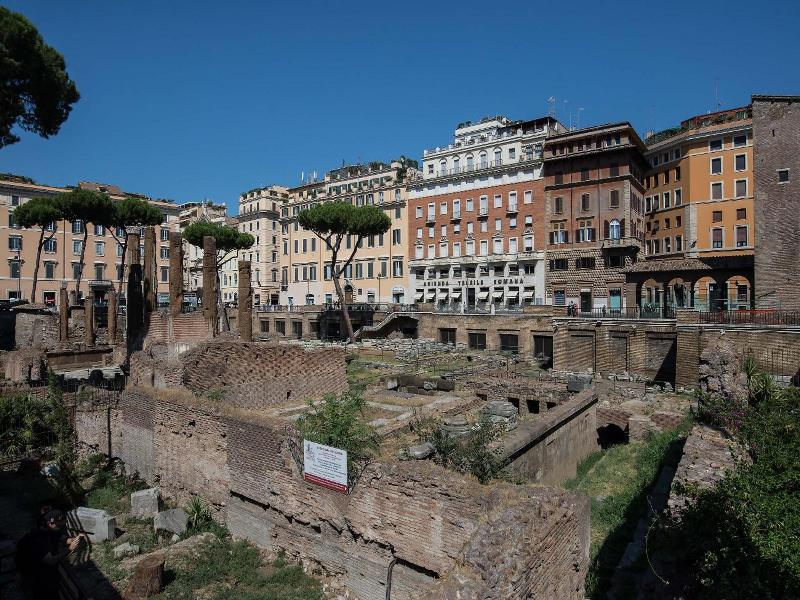 Pantheon Caesar Relais - Genel