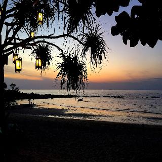 Lazy Days Bungalows fotoÄŸrafÄ±