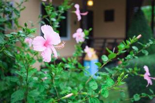 Siray Green Resort fotoÄŸrafÄ±