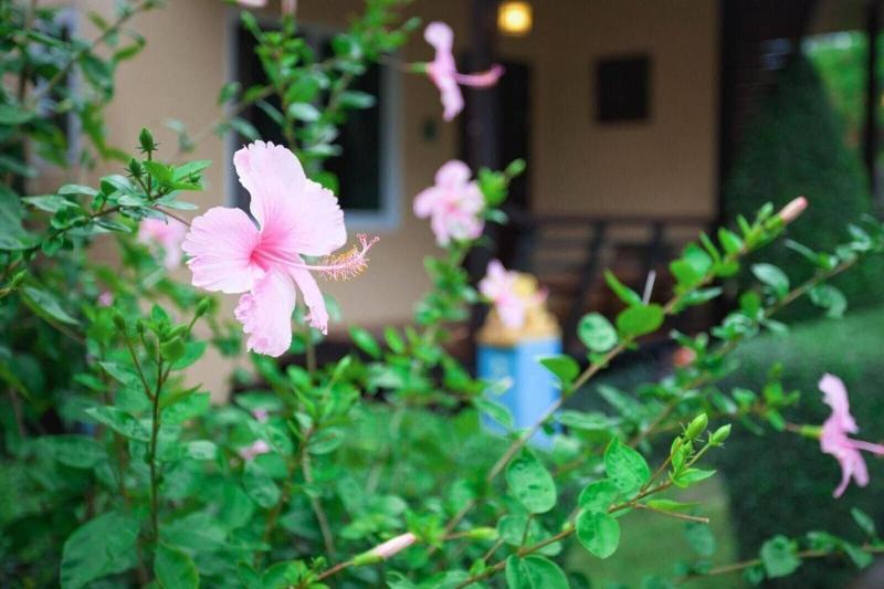 Siray Green Resort - Genel