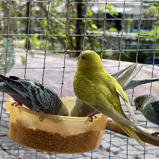 Banana Place Resort fotoÄŸrafÄ±