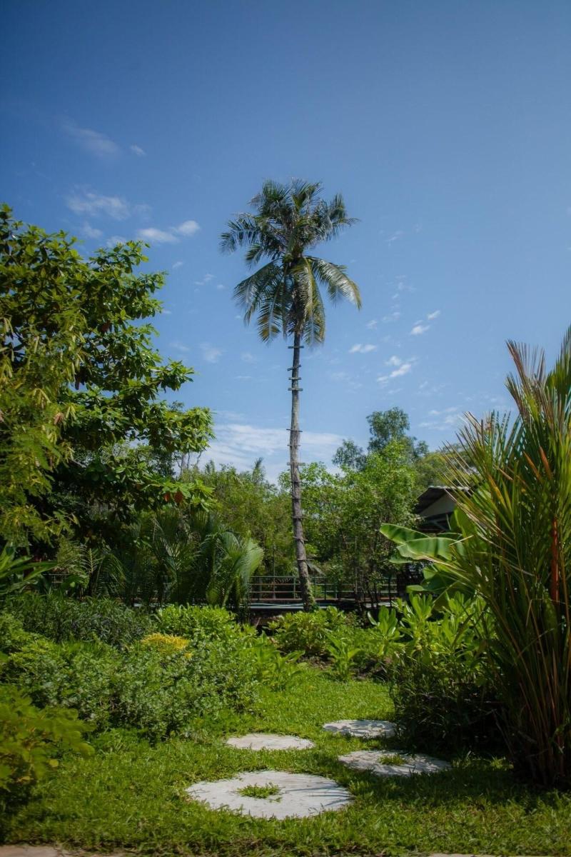Trat 101 Hotel - Genel
