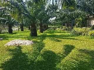 Palm Pran Resort fotoÄŸrafÄ±