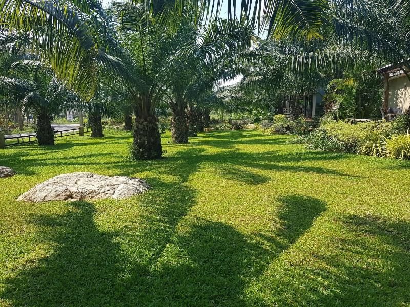 Palm Pran Resort - Genel