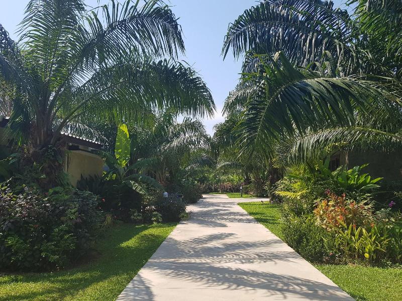 Palm Pran Resort - Genel