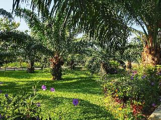 Palm Pran Resort fotoÄŸrafÄ±
