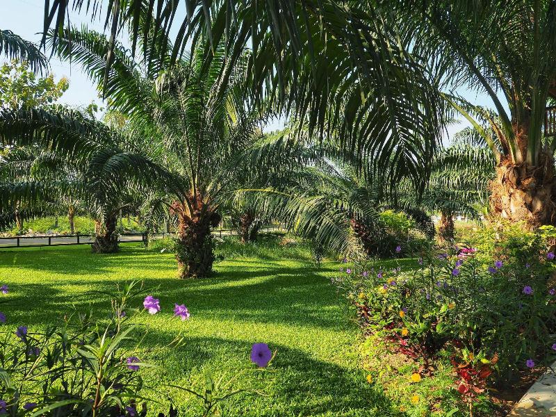 Palm Pran Resort - Genel