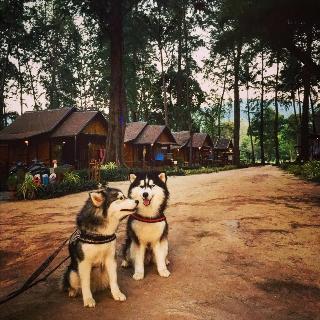 Eco Lanta Hideaway Beach Resort fotoÄŸrafÄ±