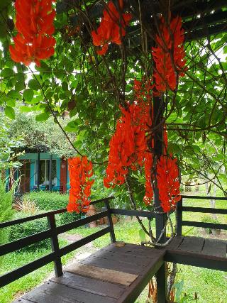 Baan Suan Hill Resort fotoÄŸrafÄ±