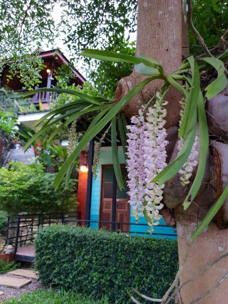 Baan Suan Hill Resort - Oda
