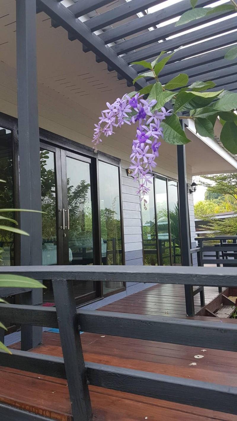 Baan Suan Hill Resort - Teras