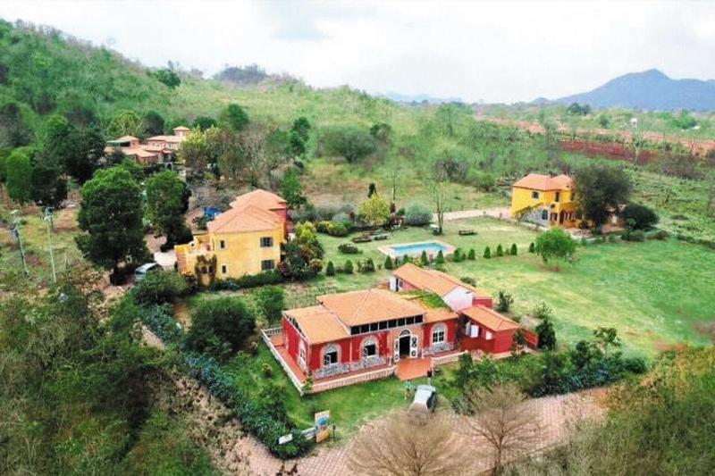 Davinci Di Khao Yai - Oda