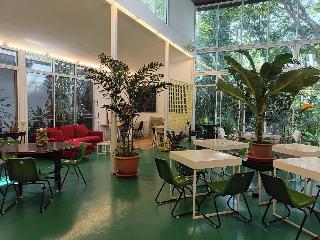 Le Cochet De Nimman fotoÄŸrafÄ±