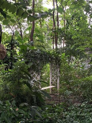 Le Cochet De Nimman fotoÄŸrafÄ±