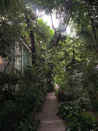 Le Cochet De Nimman fotoÄŸrafÄ±