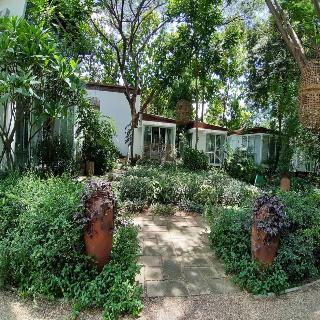 Le Cochet De Nimman fotoÄŸrafÄ±