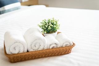 APA-TREE Boutique Hotel fotoÄŸrafÄ±