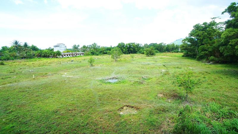 APA-TREE Boutique Hotel - Oda