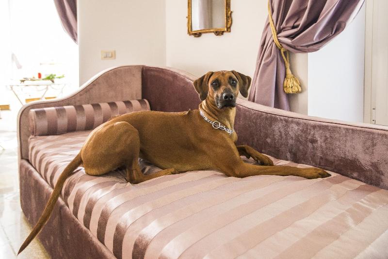 Trastevere Royal Suite - Oda