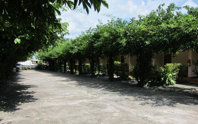 Oasis Resort - Genel