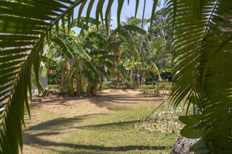 Lanta Coral Beach Resort - Genel