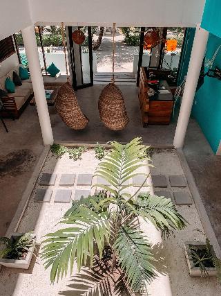 Bliss Dhigurah fotoÄŸrafÄ±