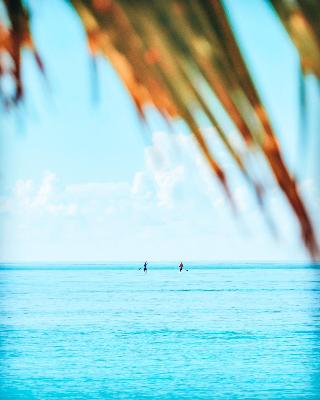 Bliss Dhigurah fotoÄŸrafÄ±
