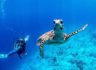 Bliss Dhigurah fotoÄŸrafÄ±