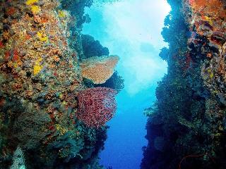 Bliss Dhigurah fotoÄŸrafÄ±