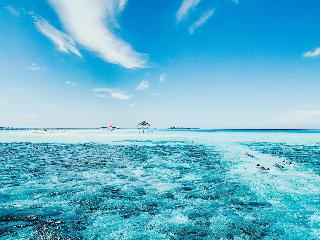 Bliss Dhigurah fotoÄŸrafÄ±