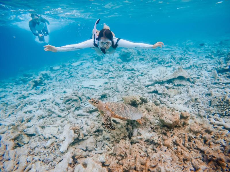 Bliss Dhigurah - Aktivite