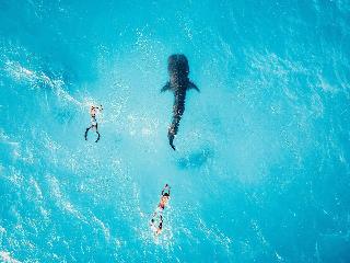 Bliss Dhigurah fotoÄŸrafÄ±