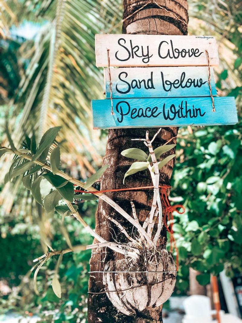 Bliss Dhigurah - Genel