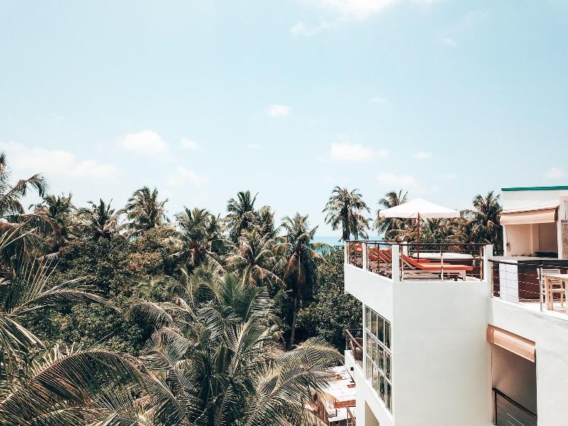 Bliss Dhigurah - Genel