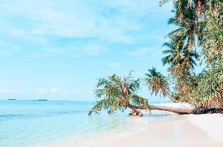 Bliss Dhigurah fotoÄŸrafÄ±