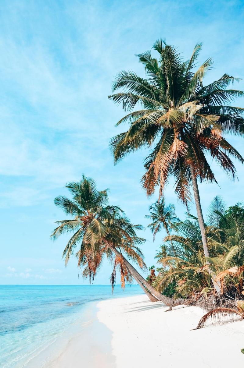Bliss Dhigurah - Plaj