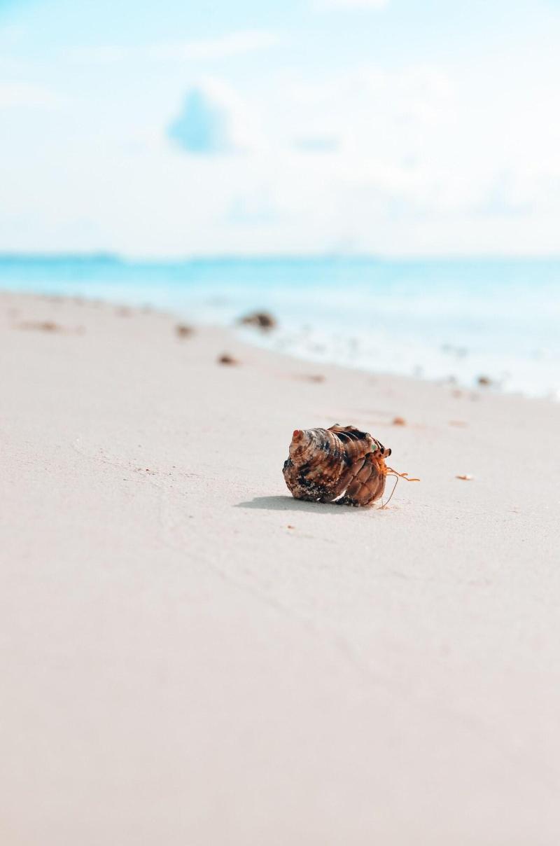 Bliss Dhigurah - Plaj