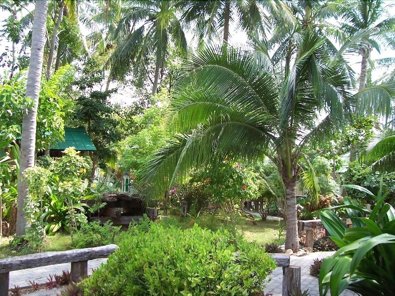 Seetanu Bungalows - Genel