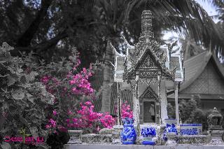 Seetanu Bungalows fotoÄŸrafÄ±