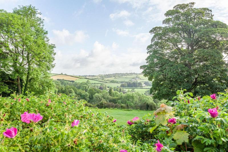 Mansion House Llansteffan - Genel