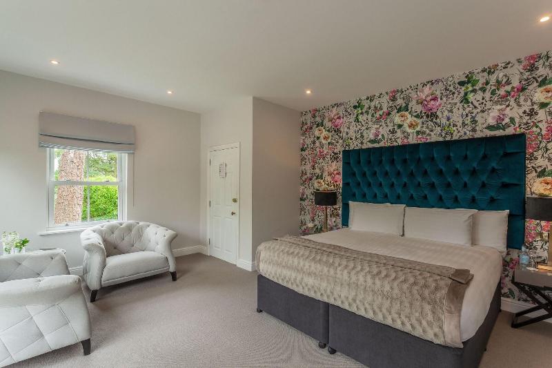 Mansion House Llansteffan - Oda