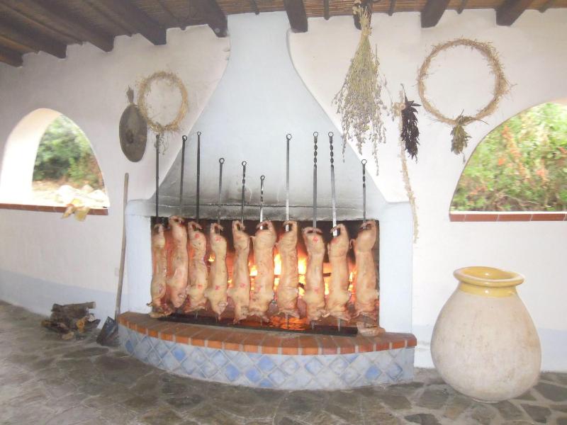 Agriturismo Camisadu - Lobi