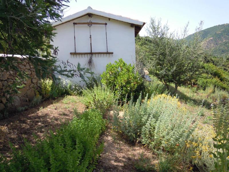 Agriturismo Camisadu - Genel