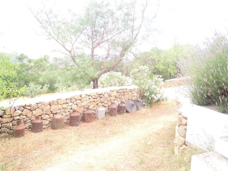 Agriturismo Camisadu - Genel